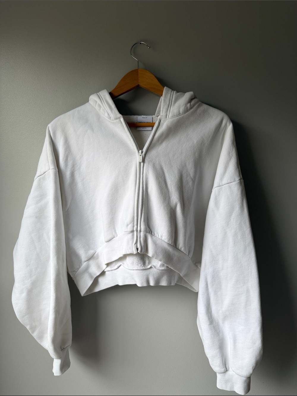 Aritzia Cozy Fleece Mega Cropped Zip Hoodie size 3 ( same as L